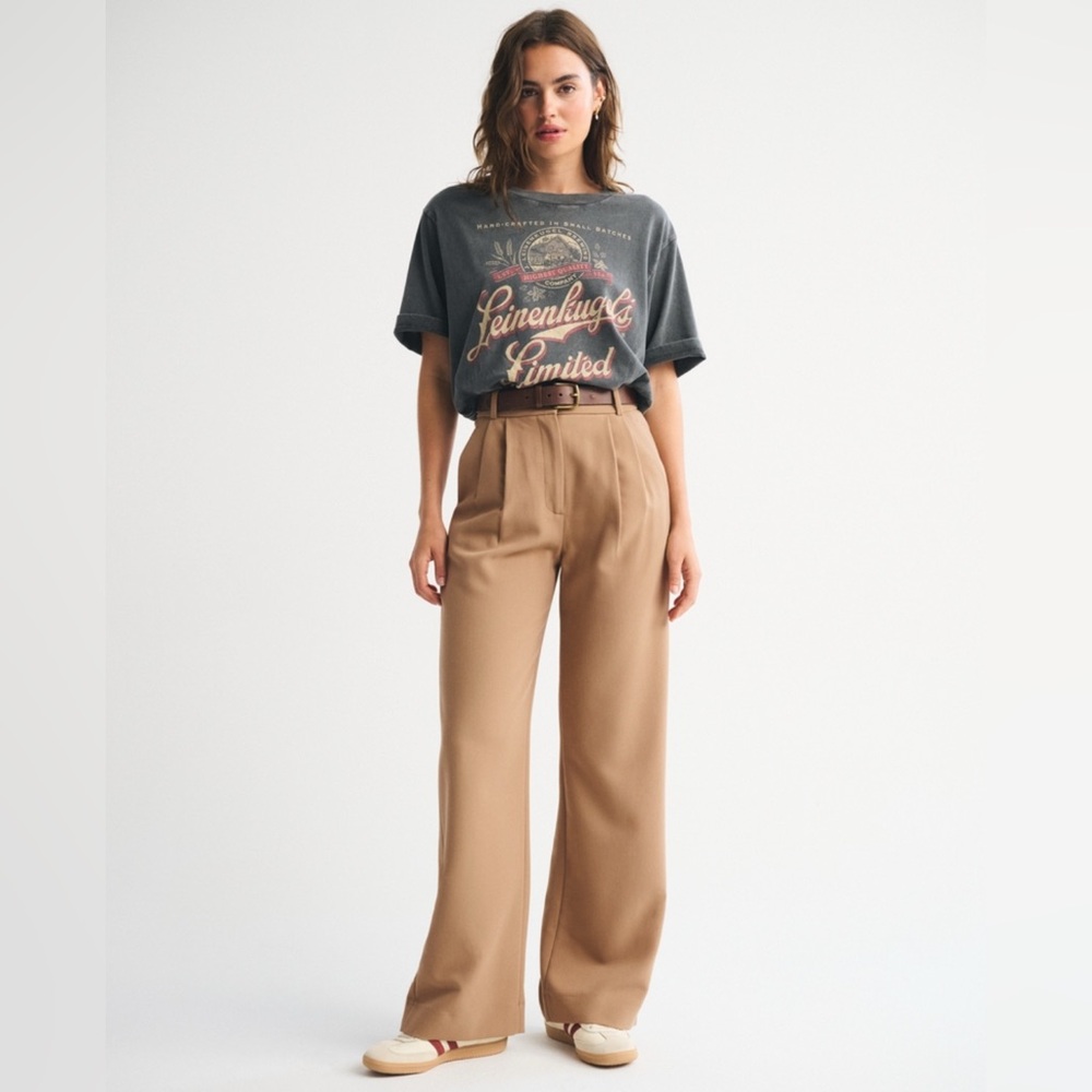 NWT ABERCROMBIE & FITCH WOMENS SLOANE TROUSERS PANTS SIZE 2 SHORT WIDE LEG BROWN